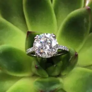 custom 4ct solitaire diamond engagement ring placed on a green succulent