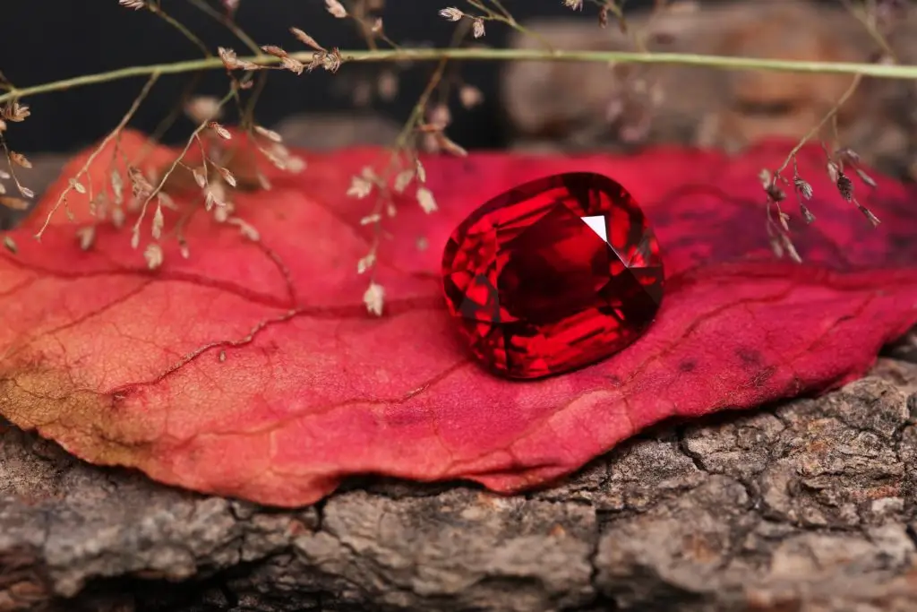 oval red ruby gemstone on a red leaf