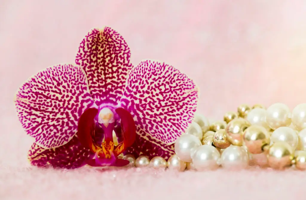 pink orchid flower next to strings of pearls as part of 2022 spring jewelry trends