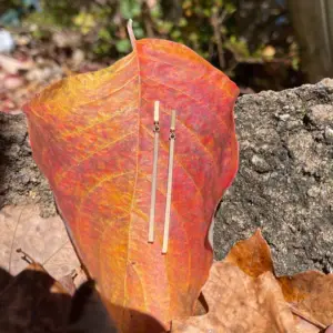 Long dangle bar earrings in yellow gold set on a red leaf in an autumn setting