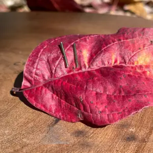 Gold geometric bar earrings setting on a red leaf in fall setting