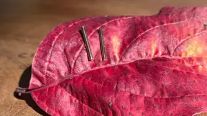 Geometric bar earrings in yellow gold set on a red leaf