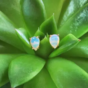 Opal tear drop shaped earrings with a green plant background