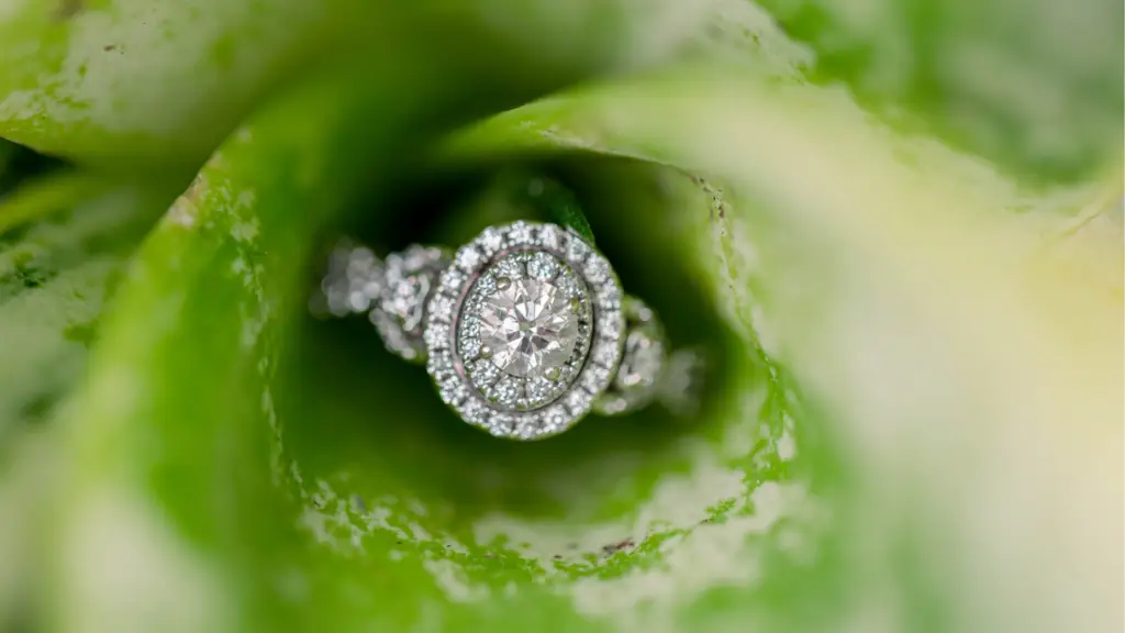 Large oval diamond ring displayed on a plant leaf