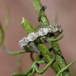 Oval diamond eternity band ring displayed on a green stem