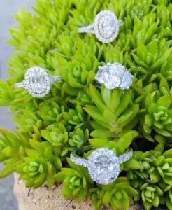 4 diamond oval gemstone rings arranged on a green plant